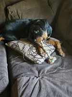 processed/148f5072-66d8-4238-8104-be230318032b/facility/5519c6d6-8cbe-49db-ad59-9a32ee788423