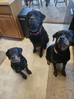 processed/148f5072-66d8-4238-8104-be230318032b/facility/56af24dd-a625-4be5-b7f6-2b59d05184e3