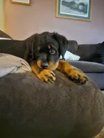 processed/148f5072-66d8-4238-8104-be230318032b/facility/79dc4600-b1dd-47b6-b121-a47620af91f2