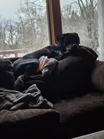 processed/148f5072-66d8-4238-8104-be230318032b/facility/bd90b9e7-6311-46d5-a7fb-149bac11f1ed