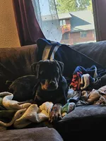 processed/148f5072-66d8-4238-8104-be230318032b/facility/bef50c8e-8d63-4ecf-988a-d254516632ad