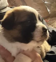 processed/1498850f-2492-4477-87ac-cbd3b3de96c8/listing/7c4101c5-6f35-4bb4-a0b4-f4f2193f4853/d2d4088b-c38c-432b-85b1-e54b7a7c95c3