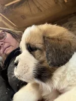 processed/1498850f-2492-4477-87ac-cbd3b3de96c8/listing/8d8bf2c8-d697-47ec-be63-5bfe721003b1/6fddf148-1e33-42f6-8d39-390954743b44