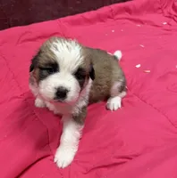 processed/1498850f-2492-4477-87ac-cbd3b3de96c8/listing/8d8bf2c8-d697-47ec-be63-5bfe721003b1/a0a4491a-0a45-4e4b-99ee-d9f6e0051f6e