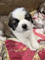 processed/1498850f-2492-4477-87ac-cbd3b3de96c8/listing/aa56cfc0-ae1d-4da5-ac36-d977e718cdd6/17a05886-265f-4c55-bf70-3cfd93b3dc0a