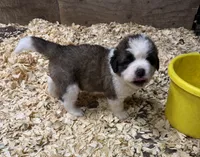 processed/1498850f-2492-4477-87ac-cbd3b3de96c8/listing/aa56cfc0-ae1d-4da5-ac36-d977e718cdd6/9086b25d-f013-4e57-84cd-e0914258f4dc