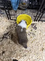 processed/1498850f-2492-4477-87ac-cbd3b3de96c8/listing/aa56cfc0-ae1d-4da5-ac36-d977e718cdd6/93476b8a-291f-4350-b7ad-14444372ecfd