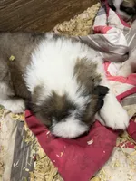 processed/1498850f-2492-4477-87ac-cbd3b3de96c8/listing/aa56cfc0-ae1d-4da5-ac36-d977e718cdd6/d4c55ddd-f247-4e58-9d07-c7f6200f7c36