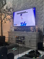 Kit, a female Bernedoodle and Miniature Bernedoodle for sale in Winter Garden, FL – Photo 6 of 8