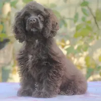 processed/14a4eb22-5f46-4c81-a18f-0c04e4115fb8/facility/374480a1-120d-4400-866f-c483431dcec9