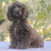 processed/14a4eb22-5f46-4c81-a18f-0c04e4115fb8/facility/374480a1-120d-4400-866f-c483431dcec9