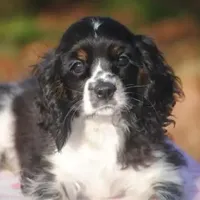 processed/14a4eb22-5f46-4c81-a18f-0c04e4115fb8/facility/3e85737d-a378-4a4d-9aff-24b323478de7