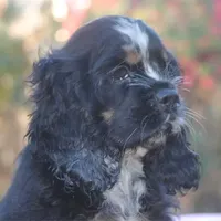 processed/14a4eb22-5f46-4c81-a18f-0c04e4115fb8/facility/4fb1fb56-62ce-41ca-a7d7-f865a3fa8c60