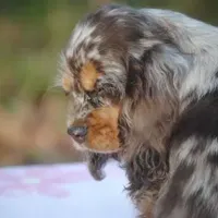 processed/14a4eb22-5f46-4c81-a18f-0c04e4115fb8/facility/52c76436-3112-4c79-a3d4-2add9779a0d9