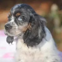 processed/14a4eb22-5f46-4c81-a18f-0c04e4115fb8/facility/8439f2f2-f66a-42ce-a484-bf29154707f8