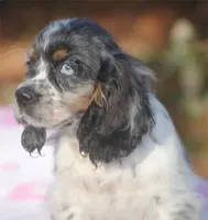 processed/14a4eb22-5f46-4c81-a18f-0c04e4115fb8/facility/8439f2f2-f66a-42ce-a484-bf29154707f8