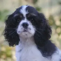 processed/14a4eb22-5f46-4c81-a18f-0c04e4115fb8/facility/df301ea1-238c-402b-af6a-076feaef6bee