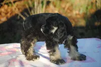 processed/14a4eb22-5f46-4c81-a18f-0c04e4115fb8/listing/0304f39c-6509-4672-b608-3d1f1cc1b97f/19f8064a-5af1-4750-aa9a-c4e9f664b6e0