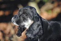 processed/14a4eb22-5f46-4c81-a18f-0c04e4115fb8/listing/0304f39c-6509-4672-b608-3d1f1cc1b97f/9ebaa200-84d3-4823-aa1f-25c88c085ba9