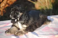 processed/14a4eb22-5f46-4c81-a18f-0c04e4115fb8/listing/0304f39c-6509-4672-b608-3d1f1cc1b97f/e412eaff-71ff-44e7-9305-c85cbd57ae6a