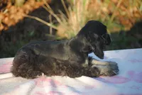 processed/14a4eb22-5f46-4c81-a18f-0c04e4115fb8/listing/0304f39c-6509-4672-b608-3d1f1cc1b97f/ef5ef195-35d0-4b2c-a5a3-50a570579bf0