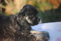 processed/14a4eb22-5f46-4c81-a18f-0c04e4115fb8/listing/0304f39c-6509-4672-b608-3d1f1cc1b97f/fbb79323-02ab-4617-908f-38bb41698caf