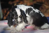 processed/14a4eb22-5f46-4c81-a18f-0c04e4115fb8/listing/28fbafe6-cd5d-4bcc-b518-c4d3df62d65e/0857247c-2f9a-44cf-a149-e1d54dfc0ba9