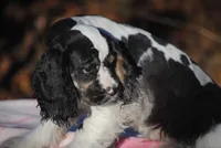 processed/14a4eb22-5f46-4c81-a18f-0c04e4115fb8/listing/28fbafe6-cd5d-4bcc-b518-c4d3df62d65e/106c3a65-5e9e-4439-84c9-6118cd1499c4