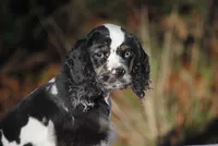 processed/14a4eb22-5f46-4c81-a18f-0c04e4115fb8/listing/28fbafe6-cd5d-4bcc-b518-c4d3df62d65e/548b7c49-e73f-45cd-b501-89330dd89df9