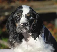 processed/14a4eb22-5f46-4c81-a18f-0c04e4115fb8/listing/28fbafe6-cd5d-4bcc-b518-c4d3df62d65e/559b5333-0f40-4247-bfb8-c07b0c7b9f2b