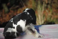 processed/14a4eb22-5f46-4c81-a18f-0c04e4115fb8/listing/28fbafe6-cd5d-4bcc-b518-c4d3df62d65e/85aa3e1e-6fef-4df8-8b94-d9f9fdfc865f