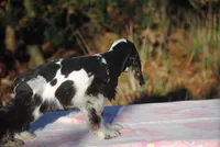 processed/14a4eb22-5f46-4c81-a18f-0c04e4115fb8/listing/28fbafe6-cd5d-4bcc-b518-c4d3df62d65e/ec31d711-3672-40d3-9c3a-359844cac62e