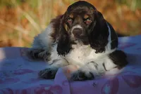 processed/14a4eb22-5f46-4c81-a18f-0c04e4115fb8/listing/66cc6534-db46-45a3-bbb2-86f6c26e0d3c/0135699a-b0b7-426c-bb07-68fddf6816ff