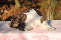 processed/14a4eb22-5f46-4c81-a18f-0c04e4115fb8/listing/66cc6534-db46-45a3-bbb2-86f6c26e0d3c/3fe77e79-c19c-46d5-bbee-2922bb8eeff2