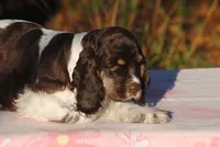 processed/14a4eb22-5f46-4c81-a18f-0c04e4115fb8/listing/66cc6534-db46-45a3-bbb2-86f6c26e0d3c/75803d77-cc5b-4ada-afd9-74c0662e226a