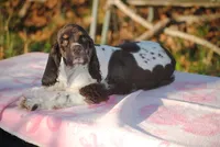 processed/14a4eb22-5f46-4c81-a18f-0c04e4115fb8/listing/66cc6534-db46-45a3-bbb2-86f6c26e0d3c/86fdb3e4-995b-483d-bc87-3d76398ec1f4