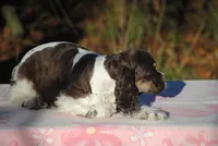 processed/14a4eb22-5f46-4c81-a18f-0c04e4115fb8/listing/66cc6534-db46-45a3-bbb2-86f6c26e0d3c/90ade578-6f50-402a-a383-3fc47dc01ec0