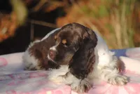 processed/14a4eb22-5f46-4c81-a18f-0c04e4115fb8/listing/66cc6534-db46-45a3-bbb2-86f6c26e0d3c/c8012999-5014-4b5b-be07-1bf86f132958