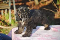 processed/14a4eb22-5f46-4c81-a18f-0c04e4115fb8/listing/eebb171c-3770-4711-9432-10148a7ad0a5/0454faf5-a83b-447f-b1eb-2e35191262d5