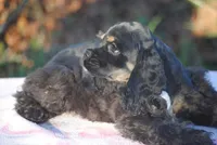 processed/14a4eb22-5f46-4c81-a18f-0c04e4115fb8/listing/eebb171c-3770-4711-9432-10148a7ad0a5/10a10bce-40fa-40fe-85c7-c58bc0a51574