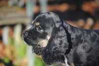 processed/14a4eb22-5f46-4c81-a18f-0c04e4115fb8/listing/eebb171c-3770-4711-9432-10148a7ad0a5/2dd4665b-7044-461a-85bc-6bc583e9cf3e