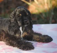 processed/14a4eb22-5f46-4c81-a18f-0c04e4115fb8/listing/eebb171c-3770-4711-9432-10148a7ad0a5/38661c0a-0609-4dfd-a767-d912a181174b