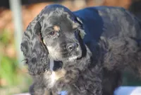 processed/14a4eb22-5f46-4c81-a18f-0c04e4115fb8/listing/eebb171c-3770-4711-9432-10148a7ad0a5/8e157921-2837-4203-8a2f-f290f6af9fc4