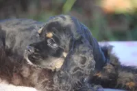 processed/14a4eb22-5f46-4c81-a18f-0c04e4115fb8/listing/eebb171c-3770-4711-9432-10148a7ad0a5/a0c45e54-658f-4ffa-98f5-9f12071dc6c7