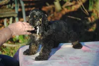 processed/14a4eb22-5f46-4c81-a18f-0c04e4115fb8/listing/eebb171c-3770-4711-9432-10148a7ad0a5/ef8870b3-5037-4f30-818a-05843a4e5efb