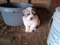 processed/14aa3864-b23d-4a19-8a1c-cf70ac3b0efc/listing/0a233e51-bc03-437b-bda2-a1de8fe421cd/1a6ad252-b454-4a49-b2d7-19e79e73ee4b