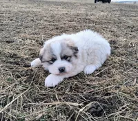 processed/14aa3864-b23d-4a19-8a1c-cf70ac3b0efc/listing/0a233e51-bc03-437b-bda2-a1de8fe421cd/679feec4-12a0-41e0-b851-3eaa808061f6