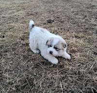 processed/14aa3864-b23d-4a19-8a1c-cf70ac3b0efc/listing/0a233e51-bc03-437b-bda2-a1de8fe421cd/d4487220-99aa-4378-88cd-491741c2e178