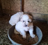 processed/14aa3864-b23d-4a19-8a1c-cf70ac3b0efc/listing/0a233e51-bc03-437b-bda2-a1de8fe421cd/d79a50c3-4bd8-4aa2-9e11-29f60cf9a478