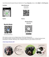 Yoshi, a male Rottweiler for sale in Edmond, OK – 8 of 8